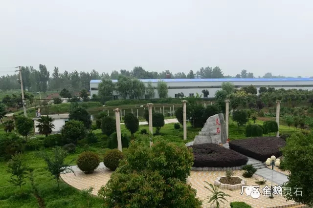 信阳市灵石科技有限公司花园式厂区。